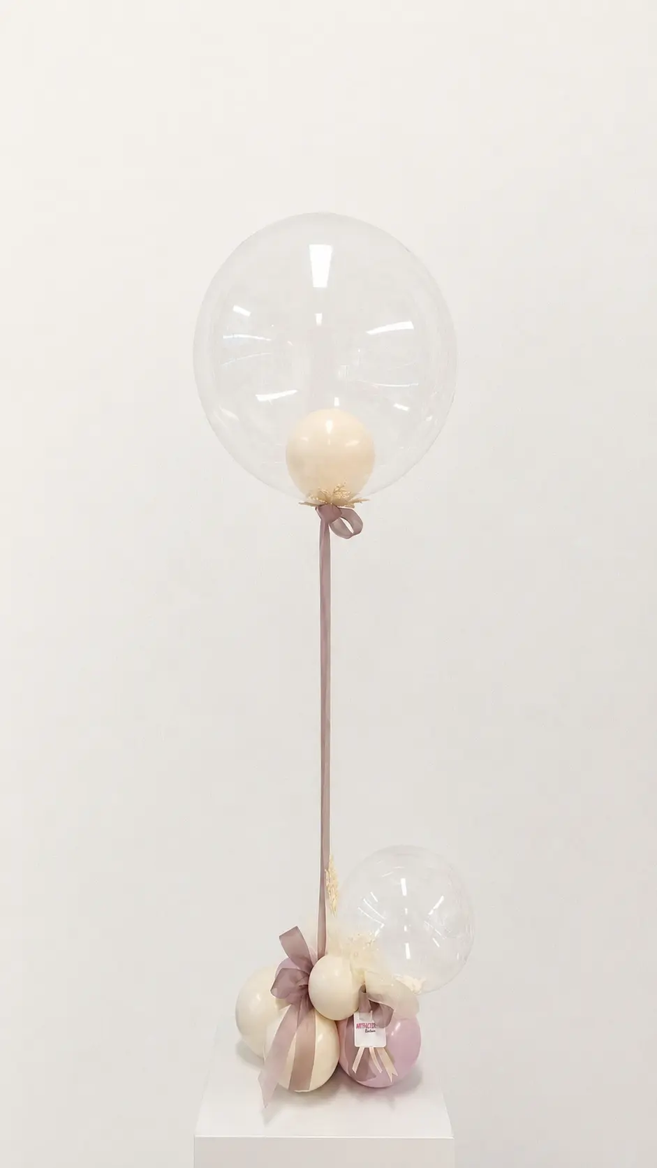 Composizione Aura Petit